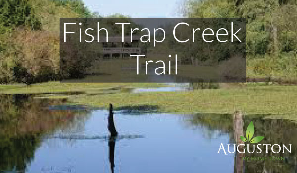 fish trap creek trail in abbotsford BC