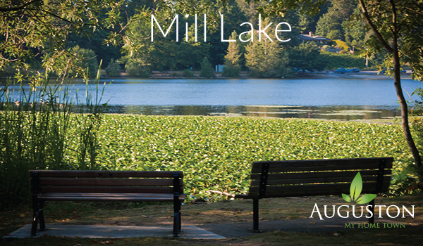 mill lake park in abbotsford bc